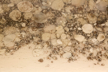 Sandy River Bed